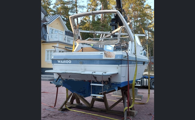 Bayliner 2550 Cierra Sunbridge-kuva-13